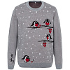 Джемпер Birds and Berries с нанесением логотипа