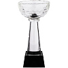 Кубок Cupture, малый с нанесением логотипа