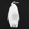 Футболка мужская Like a Penguin, черная с нанесением логотипа