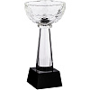 Кубок Cupture, малый с нанесением логотипа