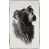 Плед Like a Lion с нанесением логотипа
