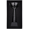 Кубок Cupture, средний с нанесением логотипа