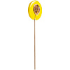 Леденец Lollifruit, желтый с бананом с нанесением логотипа